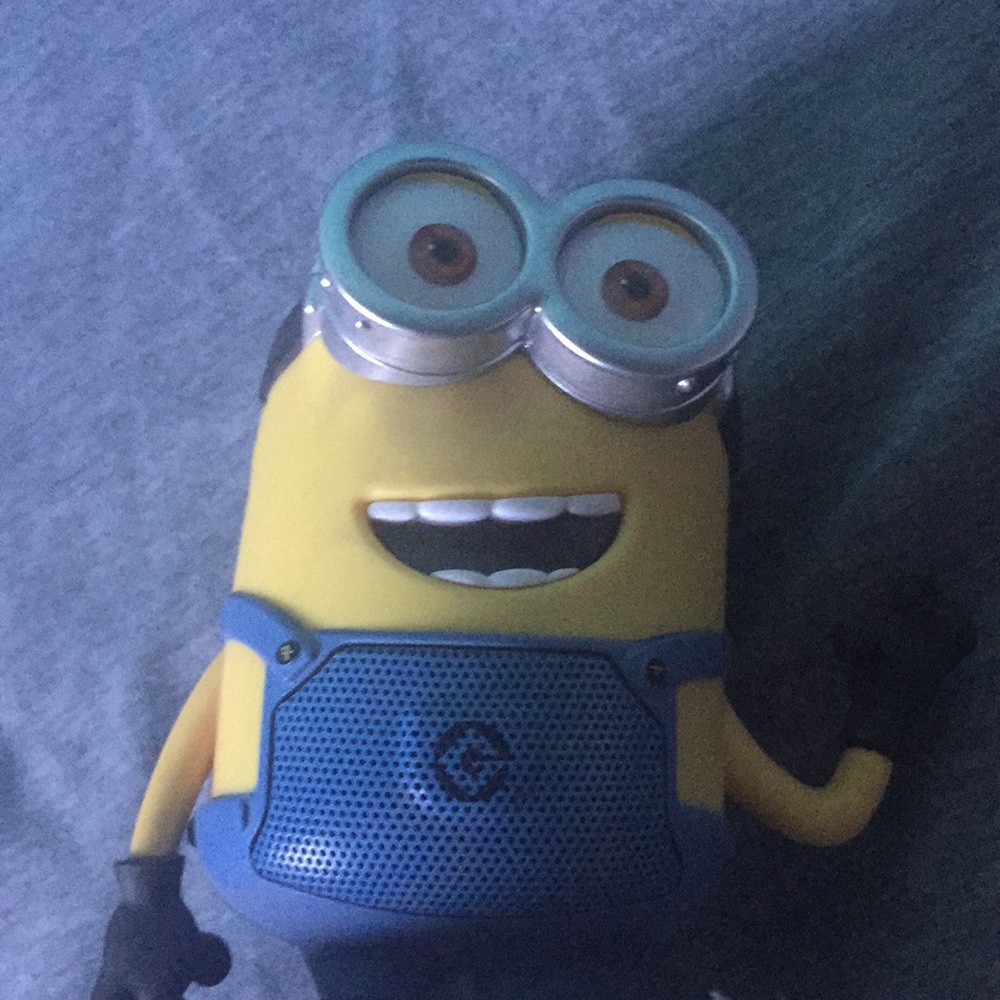 Minion speaker